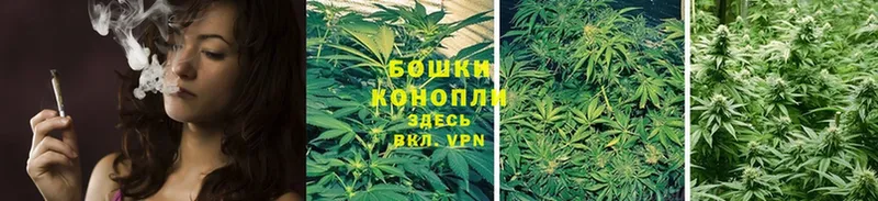 Шишки марихуана SATIVA & INDICA  Грайворон 